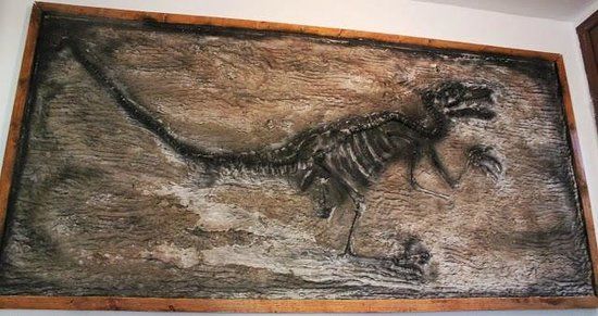 Dinosaur Museum